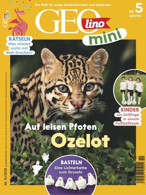 cover image of GEOmini